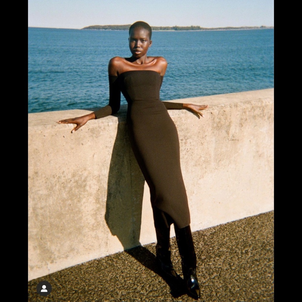 Alex Perry dress
